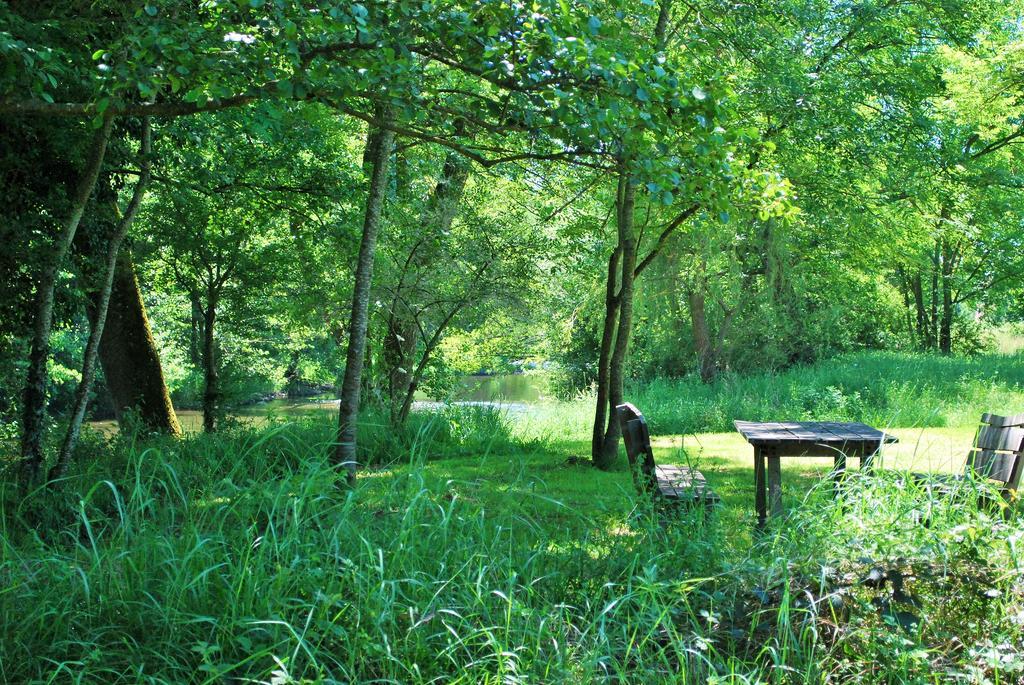 Domaine Les Gandins Bed & Breakfast Saint-Germain-de-Salles Dış mekan fotoğraf