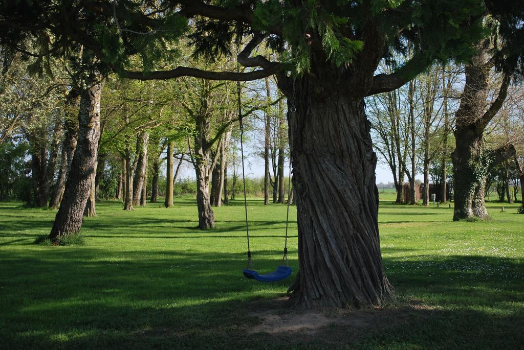 Domaine Les Gandins Bed & Breakfast Saint-Germain-de-Salles Dış mekan fotoğraf